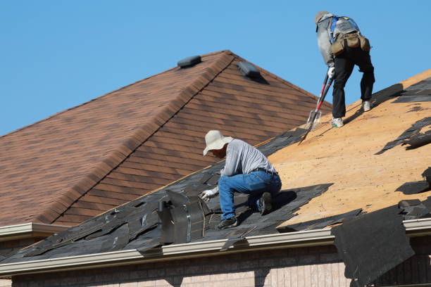 Professional Roofing services in Glenwood, AR